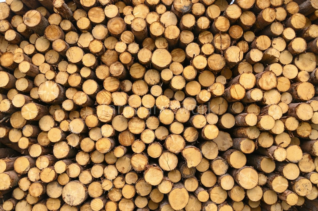 Land clearing